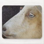 Bill E Goat Mouse Pads