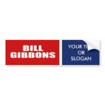 BILL GIBBONS FOR GOVERNOR