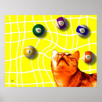 Billiards Cat