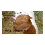Bill's Feed & Seed Business Cards