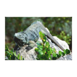 Billy - Canvas Stretched Canvas Print