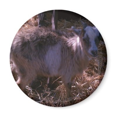 Billy Goat Joel Fridge Magnet by RoosterWranglerFarm