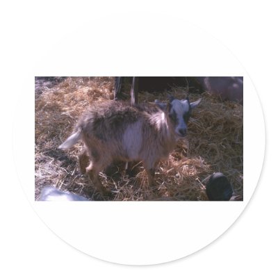 Billy Goat Joel Sticker by RoosterWranglerFarm