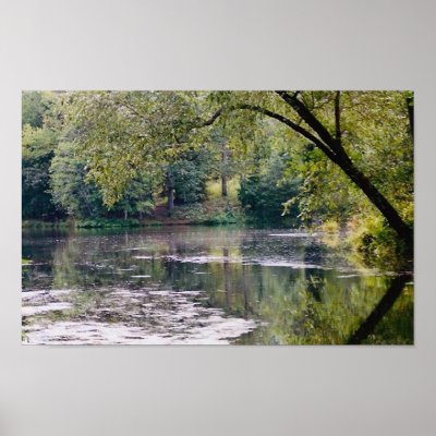 biltmore lake poster by Aleeya
