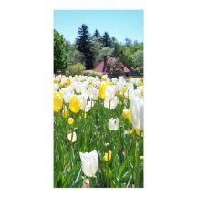 Biltmore Tulips Customised Photo Card
