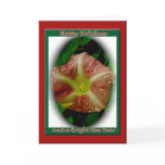 Bindweed Happy Holidays Card
