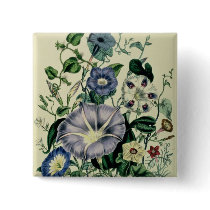 Bindweed, plate 26 from 'The Ladies Pins