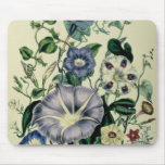 Bindweed, plate 26 from 'The Ladies mousepads