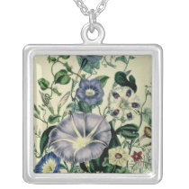 Bindweed, plate 26 from 'The Ladies Pendant