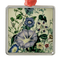 Bindweed, plate 26 from 'The Ladies Christmas Tree Ornaments