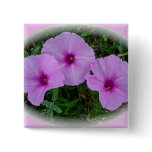 Bindweed Wildflower Series buttons