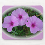 Bindweed Wildflower Series mousepads