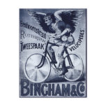 Bingham & Co. Velocipedes Postcard