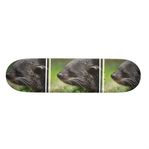 Binturong Bear Skateboard
