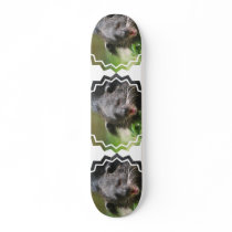 Binturong Skateboard