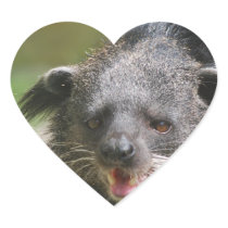 Binturong Stickers