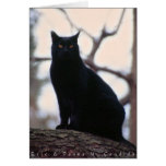 Binx cards