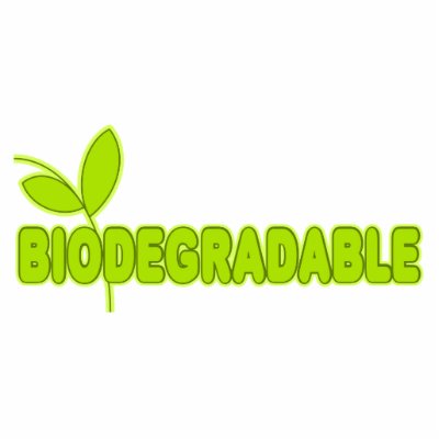 Biodegradable Photo Cut Out by sayingsentral