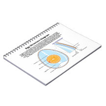 Biological Diagram of the Anatomy of an Egg Note Books