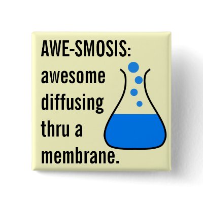 Biology & Chemistry: Teaching Science is Awesome by disgruntled_genius