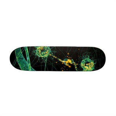 Biology:communication #2 skateboard by gtran
