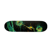 Biology:communication #2 skateboard