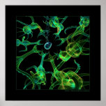 Biology: predation poster
