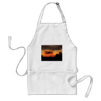 biplane apron