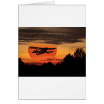 biplane