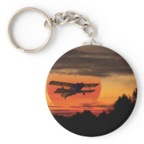 biplane
