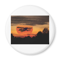 biplane