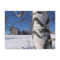 birch and home postcard