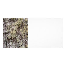 Birch bark customized photo card