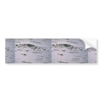 Birch bark detail bumper sticker