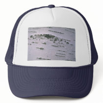 Birch bark detail mesh hats