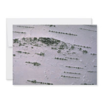 Birch bark detail personalised invitation