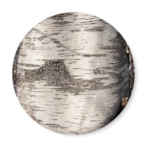 Birch Bark ~ magnet