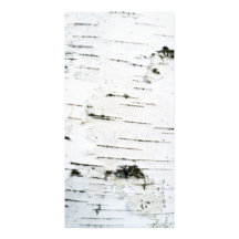 Birch bark photo cards