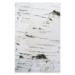 Birch bark