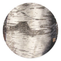 Birch Bark ~ sticker
