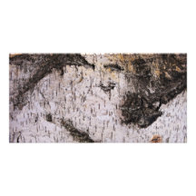 Birch Bark - wood texture nature photo Personalized Photo Card