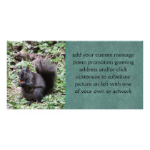 Birch Bay Squirrel Photo Card