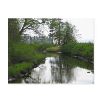Birch Bay State Park Postcards