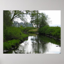 Birch Bay State Park Print