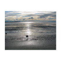 Birch Bay Tide Flats Post Card