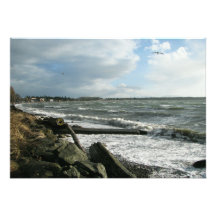 Birch Bay Wind Storm Custom Announcements