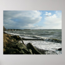Birch Bay Wind Storm