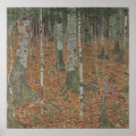 Birch Forest Canvas Print