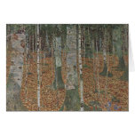 Birch Forest