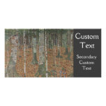 Birch Forest photo cards